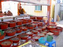 Le march aux 
poissons et fruits de mer de Daechon