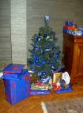 sapin de Nol  Toulouse