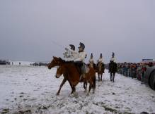 Cavaliers blancs