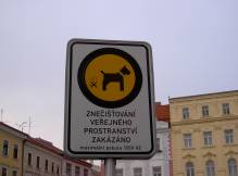 panneau pour les ma�tres de chien!