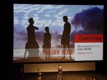 Fujian Blue