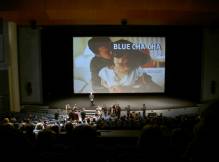 Blue Chacha � Deauville